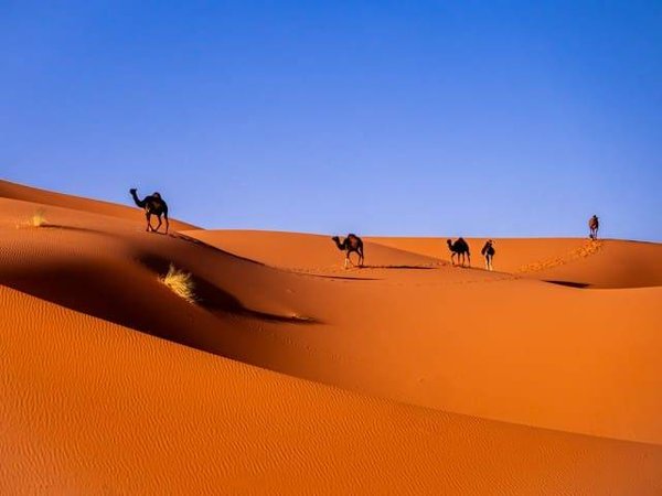 Découvrez les déserts les plus chauds du monde
