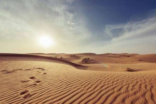 Les 5 Déserts les Plus Vastes du Monde
